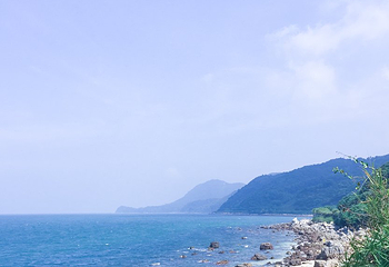 杨梅坑第 43 张图片