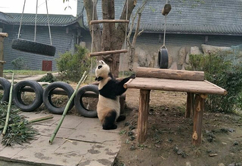 仙芝竹尖生态园第 18 张图片
