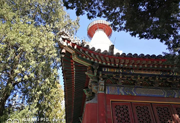 白塔寺第 25 张图片
