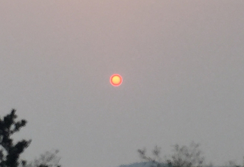 海王九岛第 5 张图片