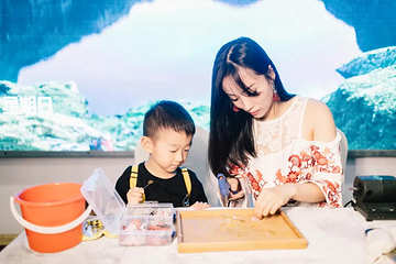 生命奥秘博物馆第 32 张图片