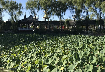 沈阳三农博览园第 31 张图片