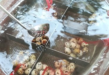 古象温泉度假村第 22 张图片