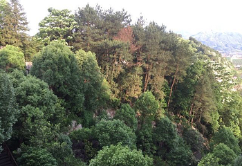 明月山维景国际温泉第 48 张图片