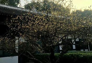 大通学堂第 27 张图片