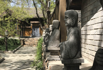 国家植物园北园-卧佛寺第 3 张图片