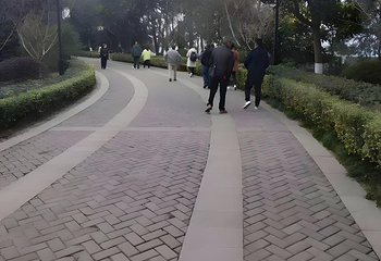 中山陵景区第 37 张图片
