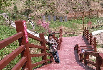 华夏牡丹园第 34 张图片