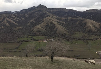 中华福寿山景区第 41 张图片