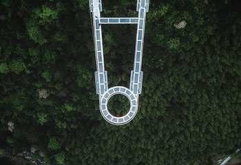 灵江源森林公园第 12 张图片