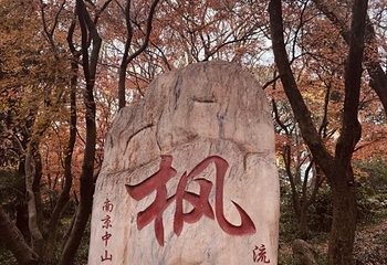 南京中山植物园第 103 张图片