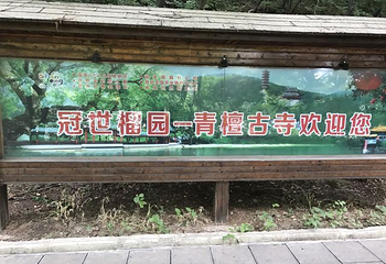 冠世榴园青檀景区第 43 张图片