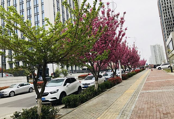 青岛天幕城第 32 张图片