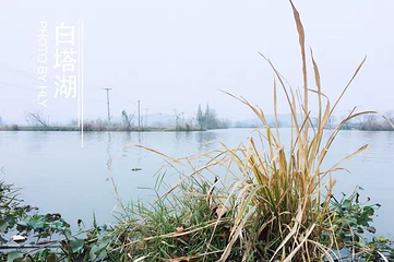 白塔湖景区第 20 张图片