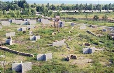 同赢替替战士基地第 4 张图片