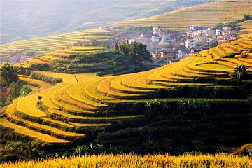 坪山梯田旅游区第 24 张图片