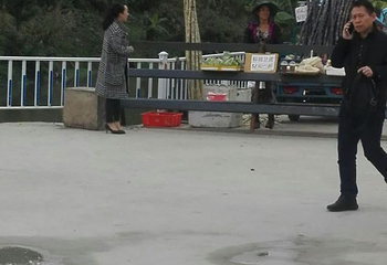 打洛镇第 24 张图片