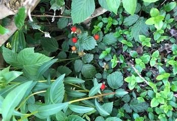 龙池山第 9 张图片