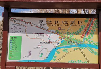 金塔胡杨林第 50 张图片
