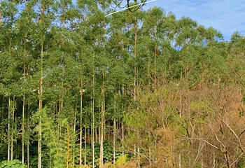 北迹露营1号露营地第 71 张图片