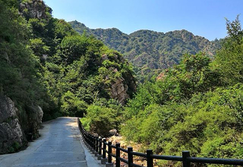 八仙山自然保护区第 24 张图片
