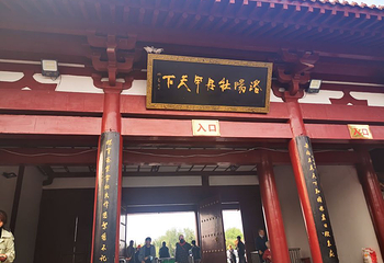 神州牡丹园第 34 张图片