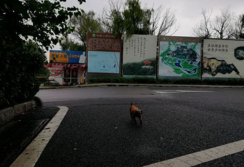 孔望山第 39 张图片