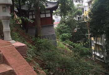 老霄顶第 3 张图片