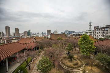 梅峰寺第 18 张图片