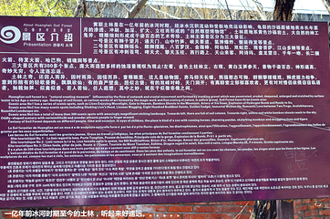 黄联土林第 13 张图片