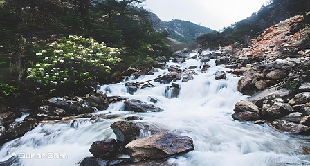 康定木格措景区第 35 张图片