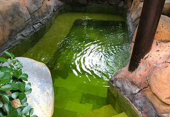 湍口众安氡温泉第 72 张图片