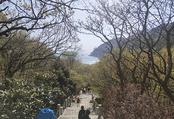 青岛出海垂钓观光休闲游第 15 张图片