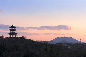龙背山森林公园第 33 张图片