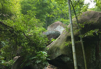 梅岭狮子峰第 41 张图片
