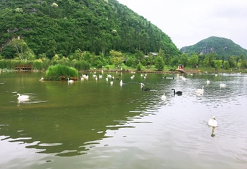 普者黑天鹅湖第 24 张图片