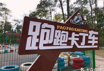 楠溪江航空飞行营地第 79 张图片