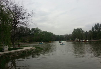 小西湖公园第 19 张图片