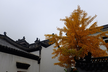 归元禅寺第 32 张图片