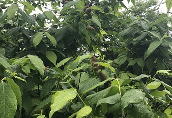 世纪缘泊漫温泉第 24 张图片