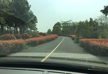 高淳国际慢城第 40 张图片