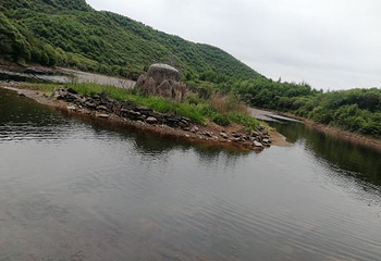 朝那湫景区第 20 张图片