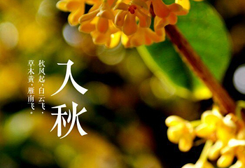 秦龙温泉第 26 张图片
