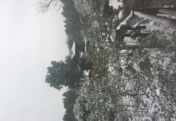 三里畈温泉旅游度假区第 46 张图片