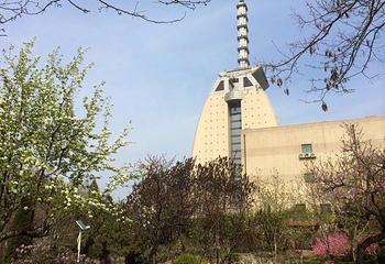 中山公园第 6 张图片