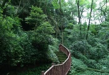 金城山森林公园第 6 张图片
