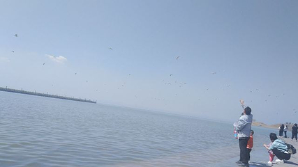乌海湖休闲度假旅游区第 67 张图片