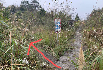 平塘天坑群景区第 5 张图片