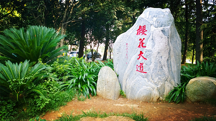 武汉大学第 72 张图片