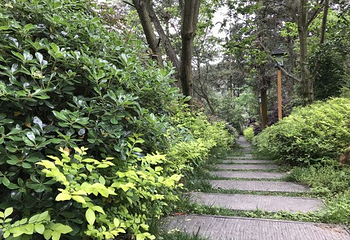 斗篷山温泉第 12 张图片